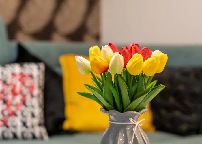 דירה Skyline Lux 2 זלאטיבור